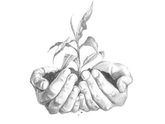 بازرگانی