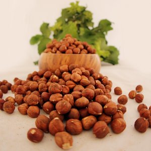 مغز فندق