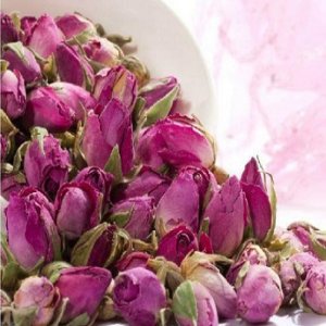 غنچه گل محمدی